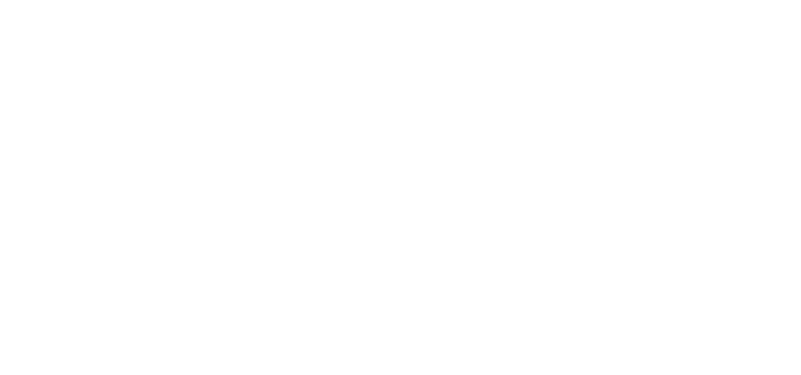 SimpleTech
